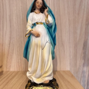 Nossa Senhora Gravida 20 cm em Resina