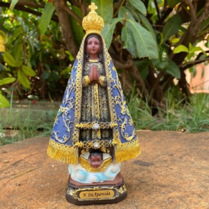 Imagem Nossa Senhora Aparecida 20cm Resina
